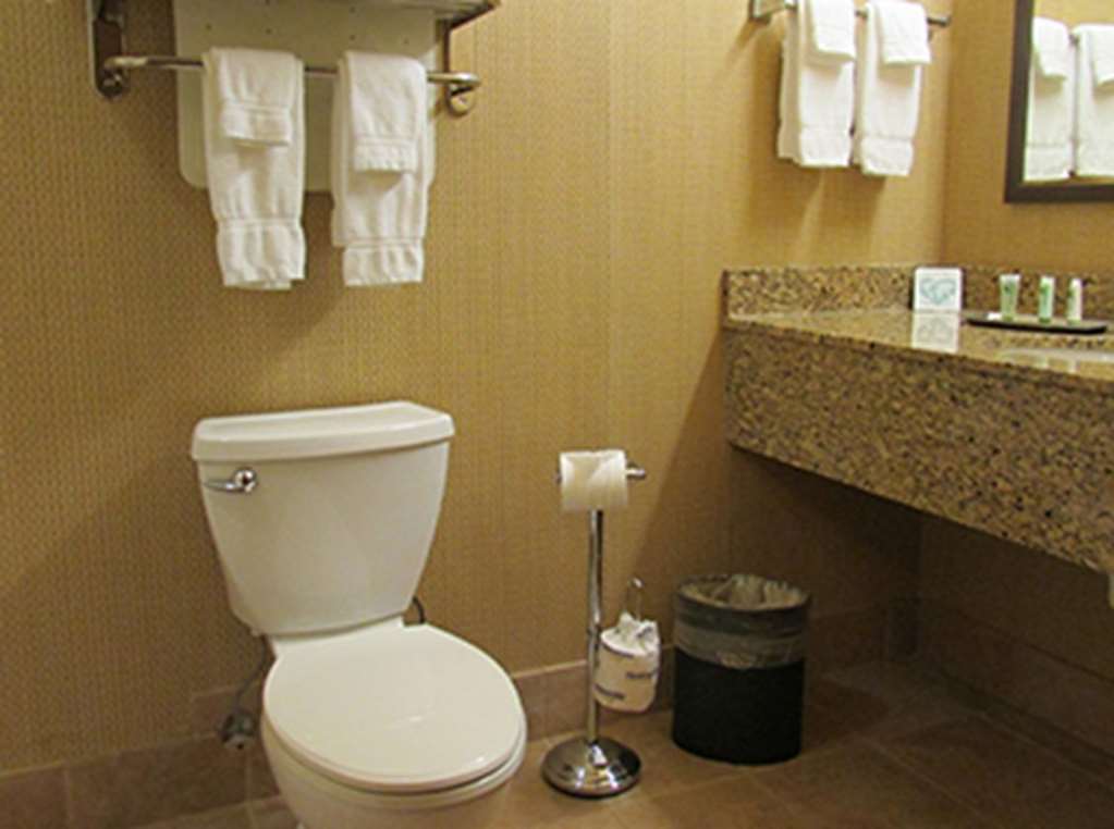 Canal Park Lodge Duluth Rum bild